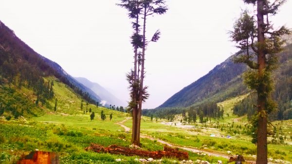 Kumrat Valley meadows