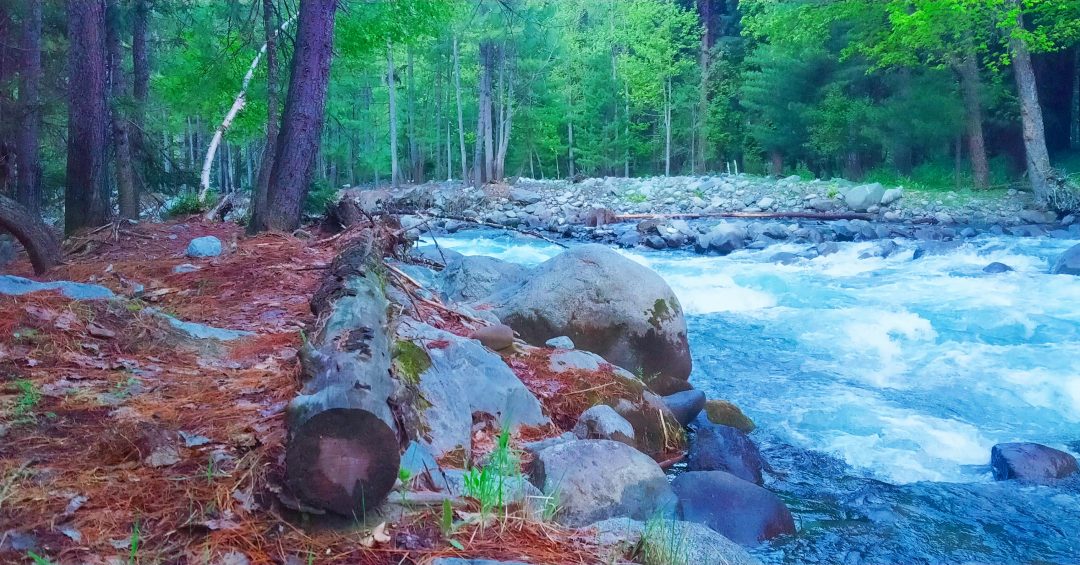IMG_20220510_094901_831-1080x565 Pictures of beautiful natural scenery of Kumrat Valley