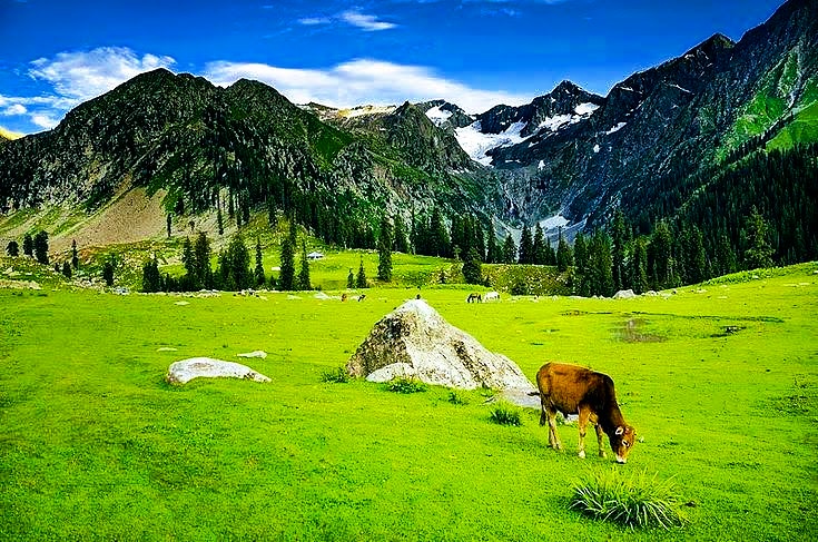 IMG_20220726_160622_139 Discover Kumrat Valley, the northern most beautiful natural region of Pakistan from Islamabad in a very short time