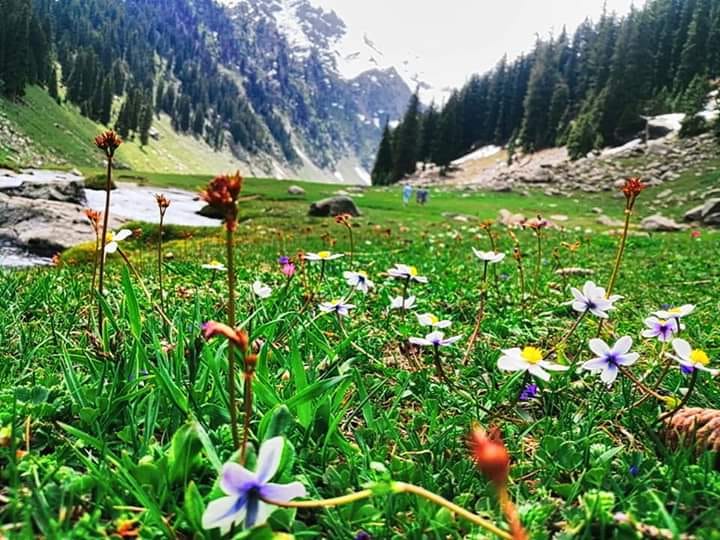 This-beautiful-landscape-is-a-photo-taken-a-few-days-ago. Kumrat Valley which is visited by a large number of tourists from all over Pakistan. It's June-July. And the pictures of this landscape were taken by our team in 2019.