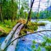 Trekking in Kumrat Valley