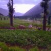 kumrat valley