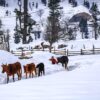 kalam valley snow