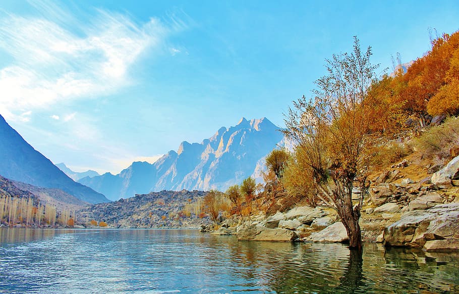 tree-lake-pakistan-nature