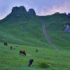 Badgoi Pass