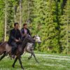 Janshae Meadows kalam