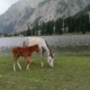 Mahodand Lake