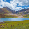 Naran Kaghan Babusar Top Family Tour Package 2 Nights 3 Days (22)
