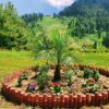 Malam Jabba