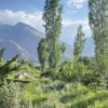 Normal Hotel Hunza