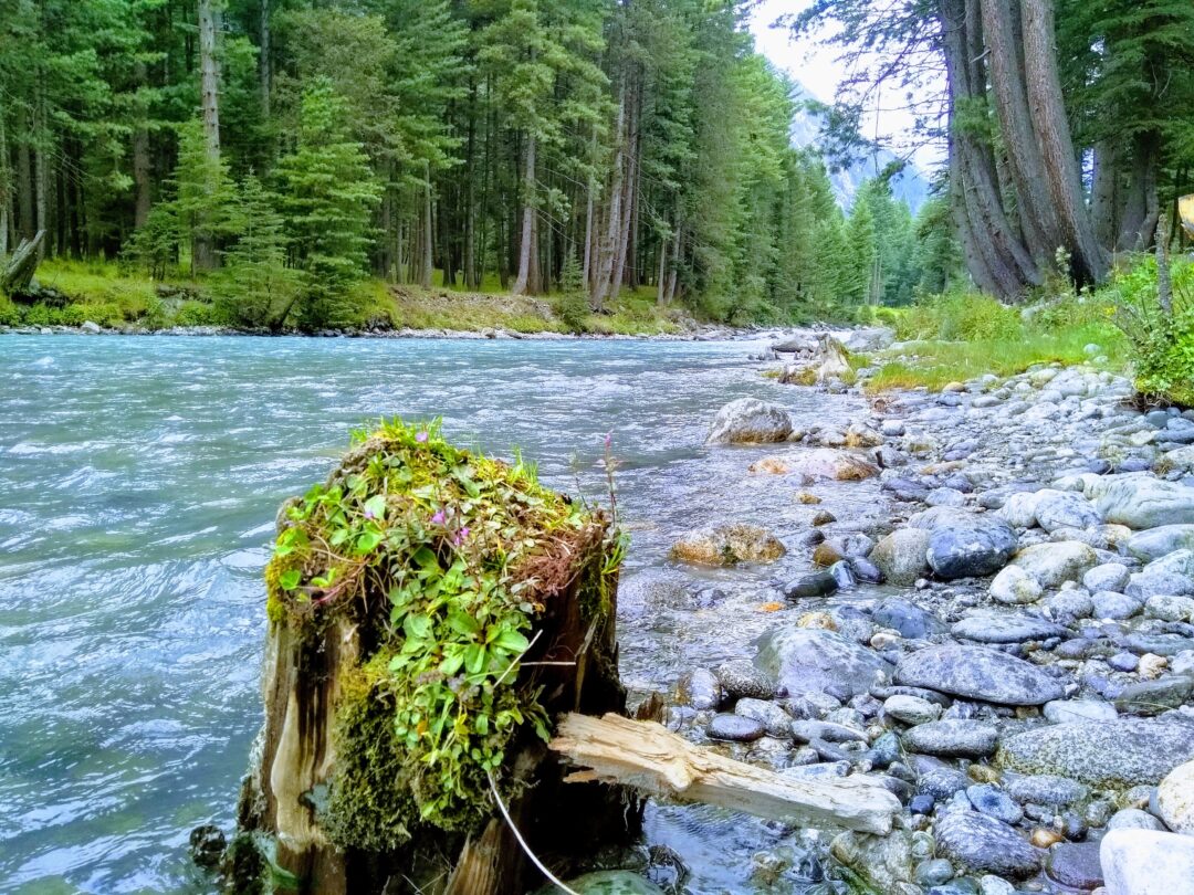 🏞️ Upper Dir to Kumrat Valley 3 Days 2 Nights Family Private Tour Package 🚙✨ - Image 8