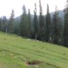 jahaz banda