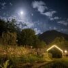 Hunza Huts – Scenic & Luxurious Stay in Hunza Valley