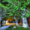 🌲 Bumburet Pods – Luxurious Stay in Chitral’s Scenic Bumburet Valley