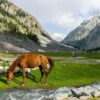 3-Day Honeymoon Tour Islamabad to Malam Jabba, Kalam Valley, and Mahudand Lake