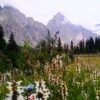 kumrat valley