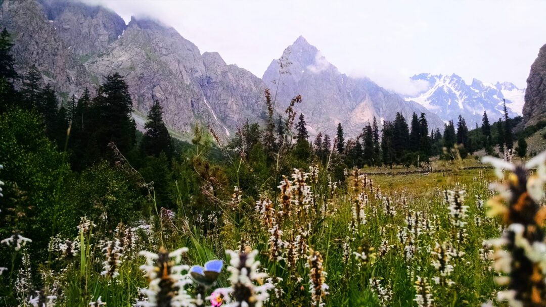 kumrat valley