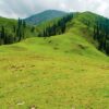 Shogran Family Private Tour Package