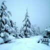 Shogran Family Private Tour Package Snowfall