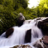Shogran Family Private Tour Package