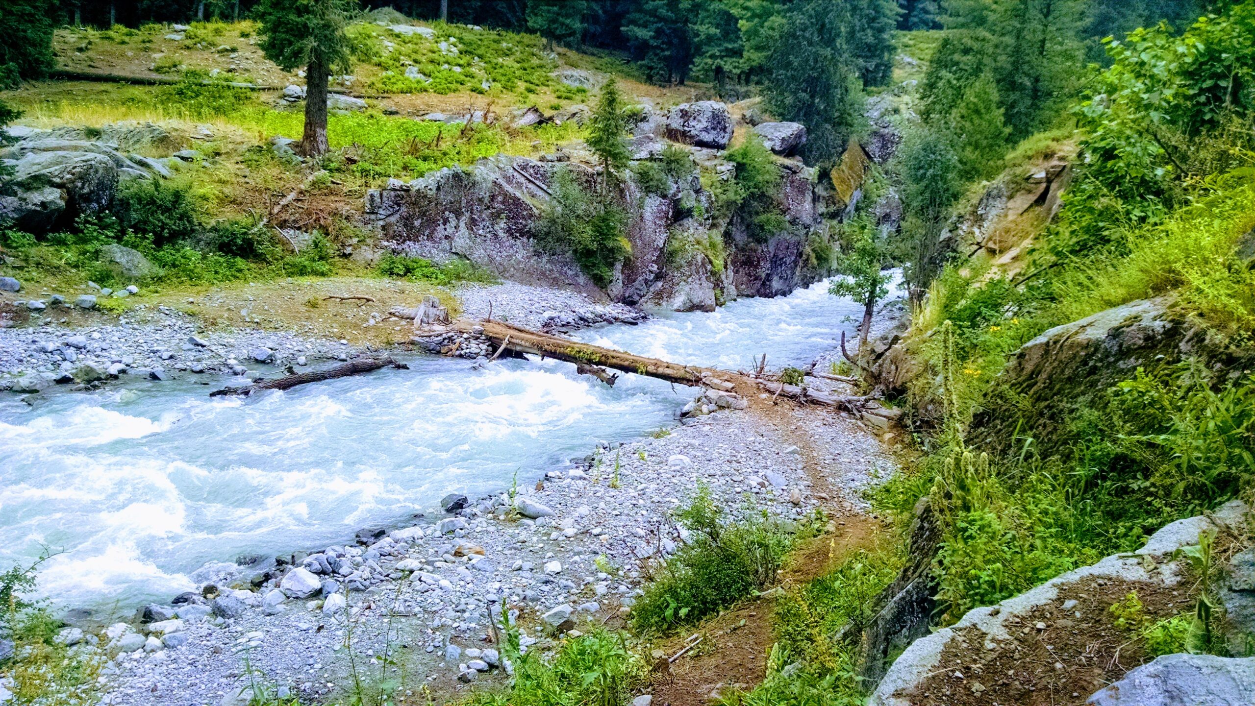 Panchkoda River