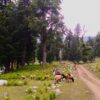 kumrat valley dujanga
